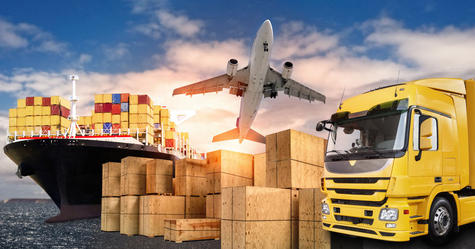Entreprise de transport : les critères qui font vraiment la différence sur le terrain